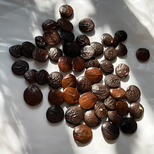 🌸WISTERIA - THE GARDEN'S CASCADING BEAUTY ALL YEAR ROUND